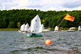 Opti-Cup 2014 in Lindow
